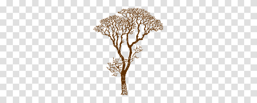 Tree Nature, Landscape, Outdoors, Plant Transparent Png