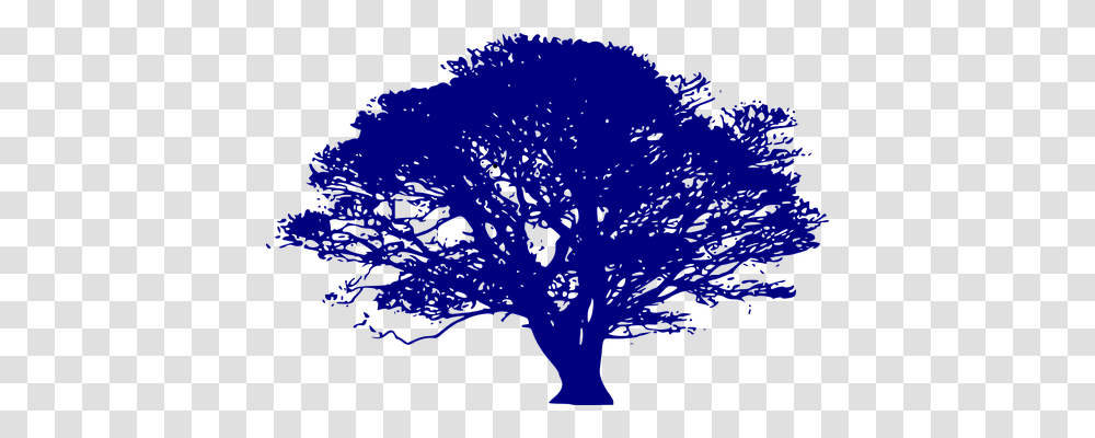 Tree Nature, Animal, Mammal, Silhouette Transparent Png