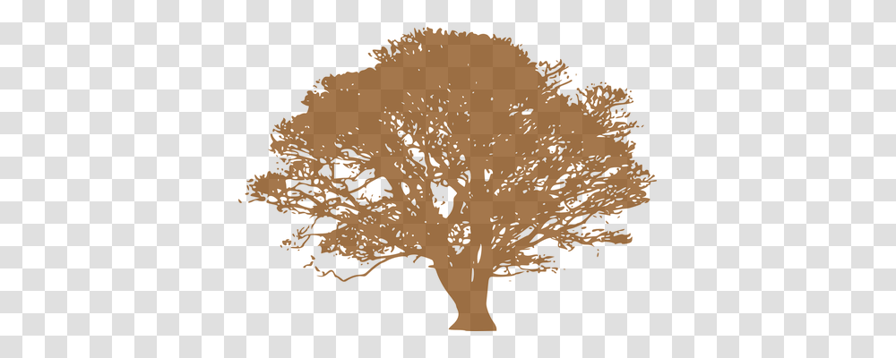 Tree Nature, Plant, Leaf, Vegetation Transparent Png