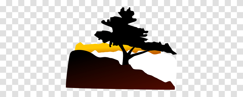 Tree Nature, Outdoors, Plant, Sunrise Transparent Png