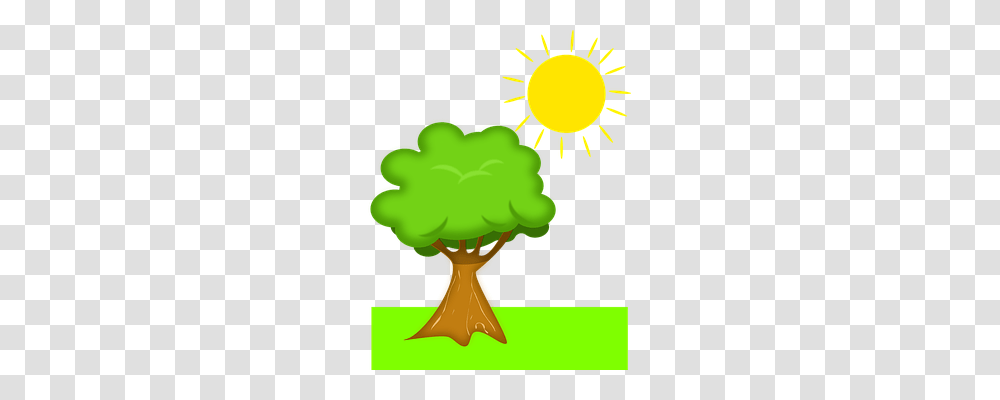 Tree Nature, Plant, Green, Anther Transparent Png