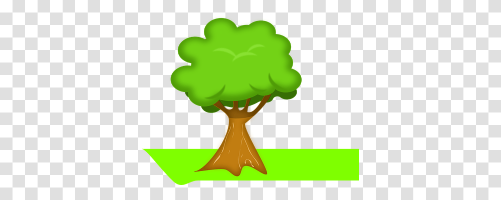 Tree Nature, Plant, Fungus, Palm Tree Transparent Png