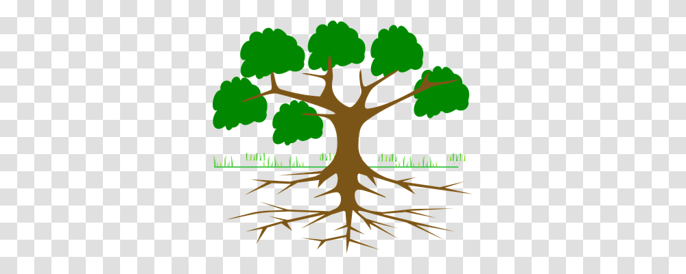 Tree Nature, Root, Plant Transparent Png