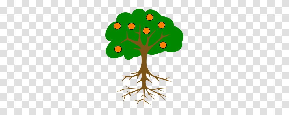 Tree Nature, Plant, Root, Poster Transparent Png