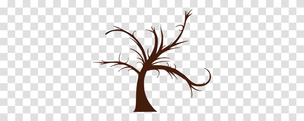 Tree Nature, Plant, Palm Tree, Root Transparent Png