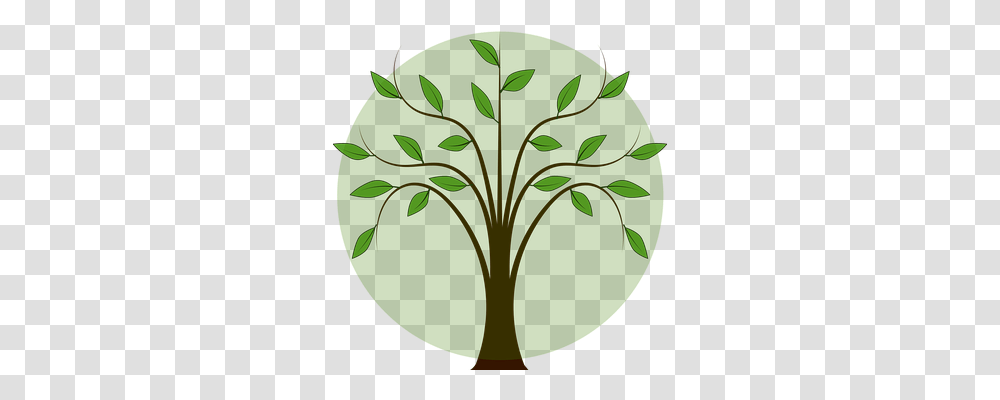 Tree Nature, Plant, Green, Leaf Transparent Png