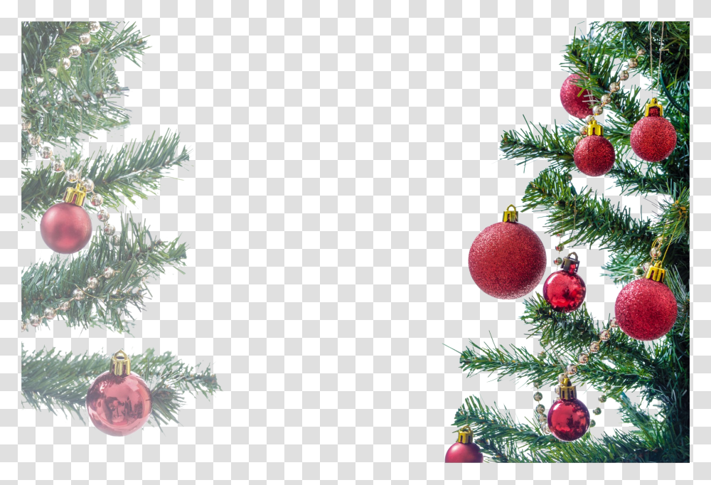 Tree Clip, Holiday, Plant, Christmas Tree, Ornament Transparent Png