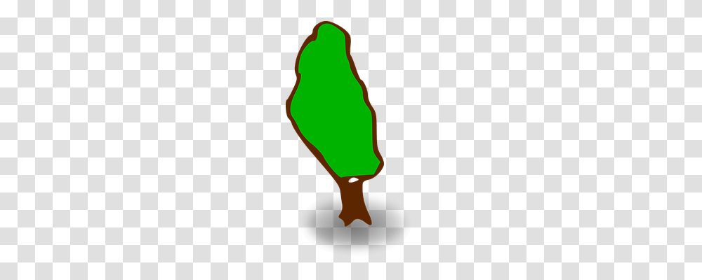 Tree Light, Lightbulb Transparent Png