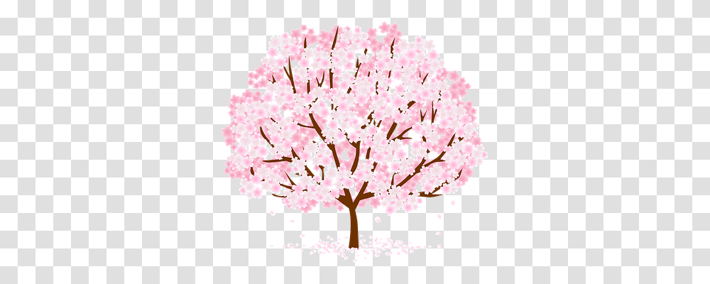Tree Nature, Plant, Flower, Blossom Transparent Png