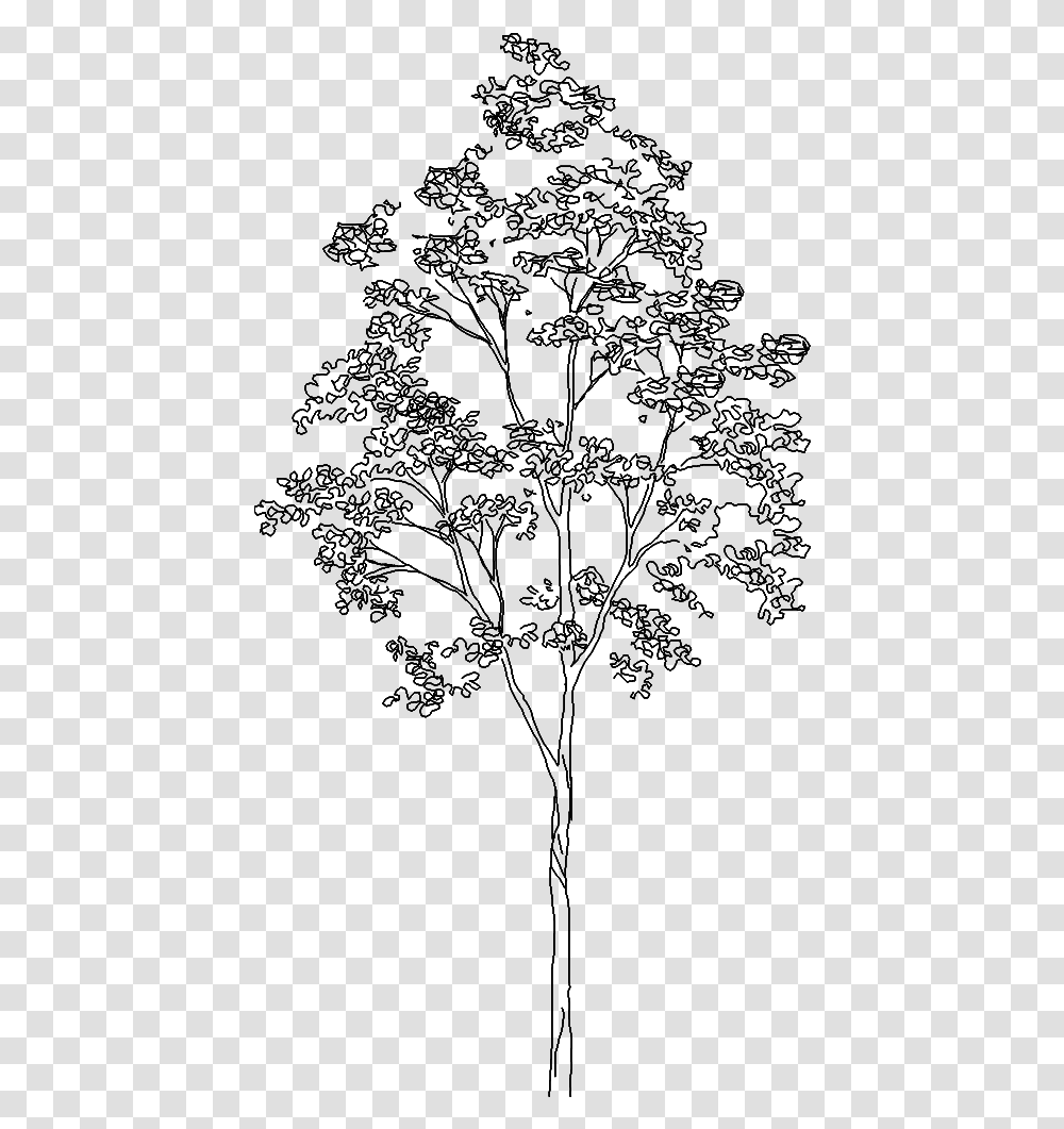 Tree 3333d ViewClass Mw 100 Mh 100 Pol Align Vertical Tree Root System Protection, Gray, World Of Warcraft Transparent Png
