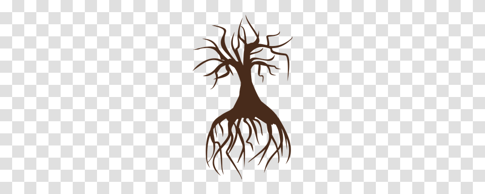 Tree Nature, Plant, Root Transparent Png