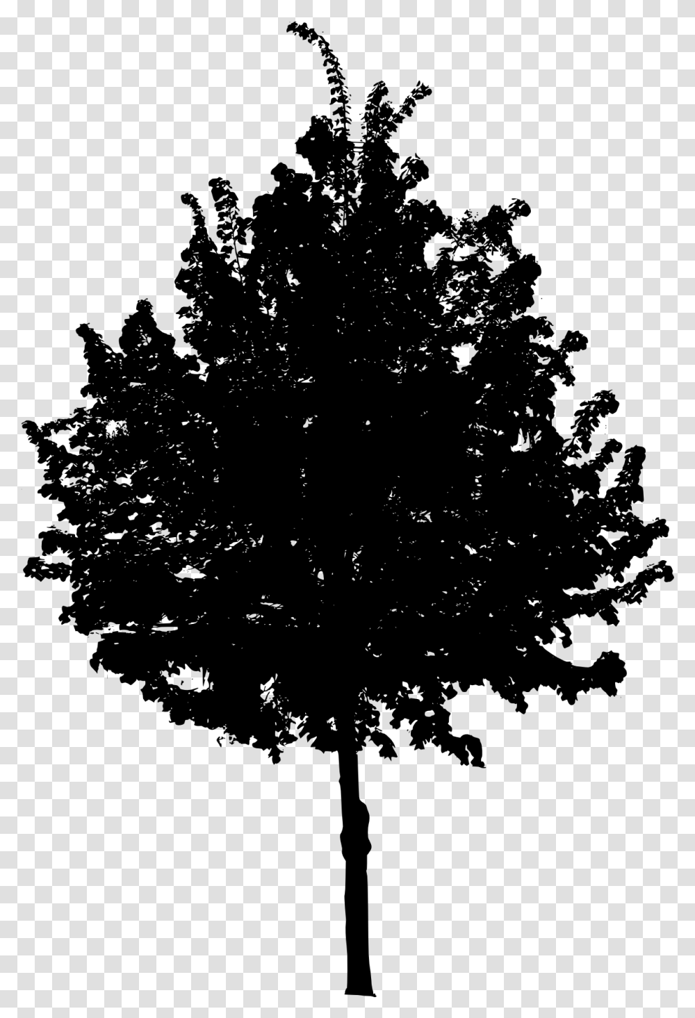Tree 4 Black Tree, Gray, World Of Warcraft Transparent Png