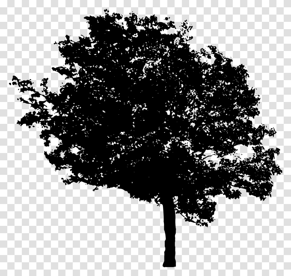 Tree 5 Portable Network Graphics, Gray, World Of Warcraft Transparent Png