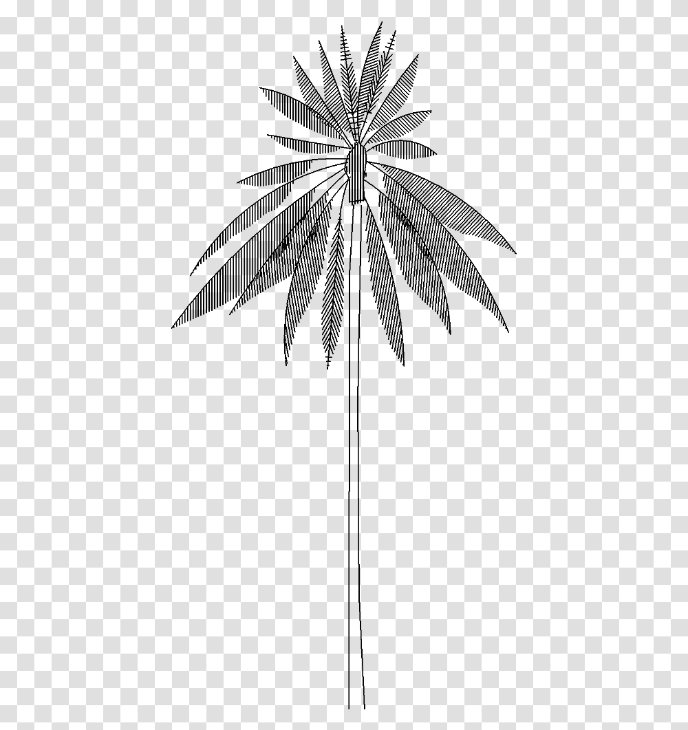 Tree 5563d ViewClass Mw 100 Mh 100 Pol Align Vertical Drawing, Gray, World Of Warcraft Transparent Png