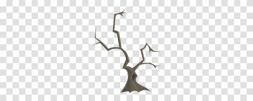 Tree Nature, Antler, Slingshot, Deer Transparent Png