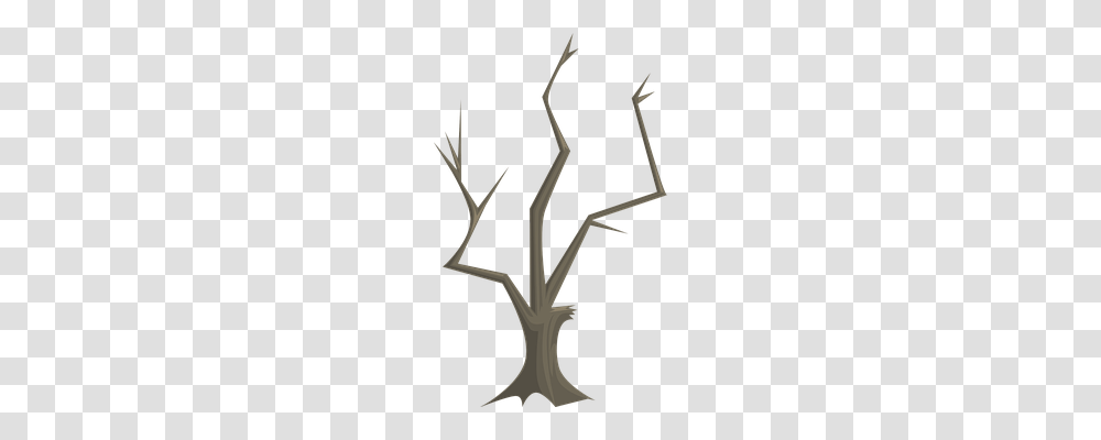 Tree Nature, Cross, Antler Transparent Png