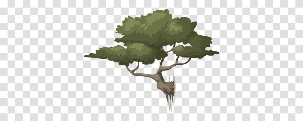 Tree Nature, Animal, Dinosaur, Reptile Transparent Png