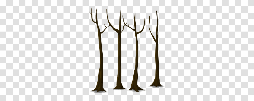 Tree Nature, Antler, Plant, Brass Section Transparent Png