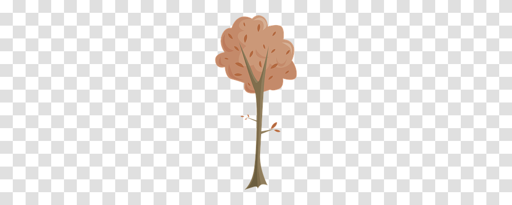 Tree Nature, Cross, Plant Transparent Png