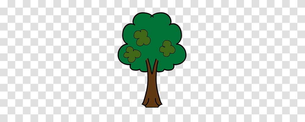 Tree Nature, Green, Plant, Fir Transparent Png