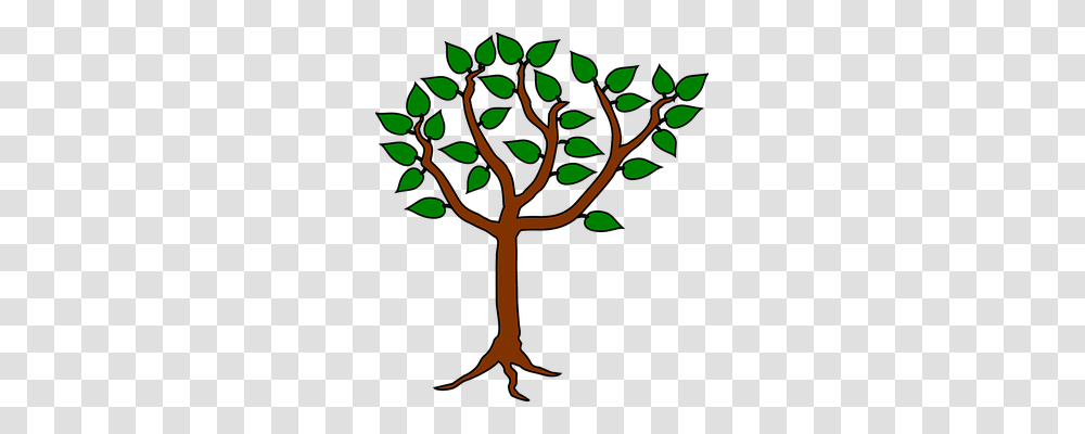 Tree Plant, Root, Scissors, Blade Transparent Png