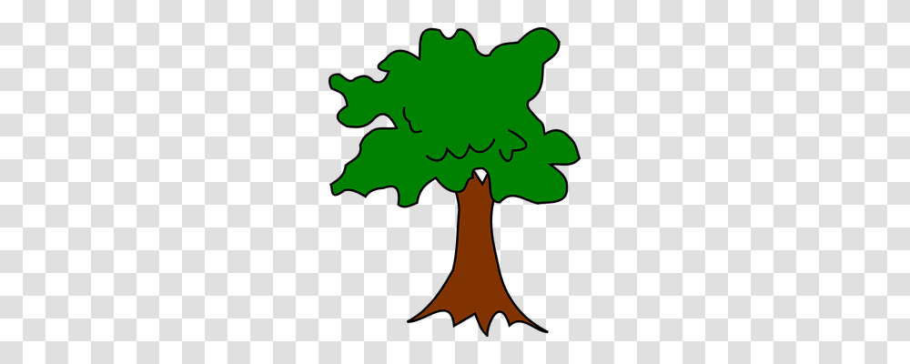 Tree Leaf, Plant, Maple, Maple Leaf Transparent Png