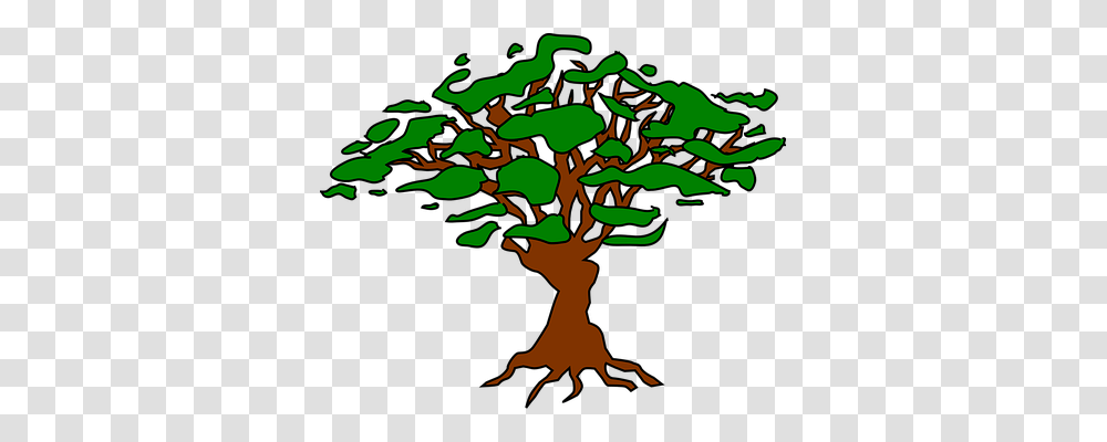Tree Plant, Root, Tree Trunk Transparent Png