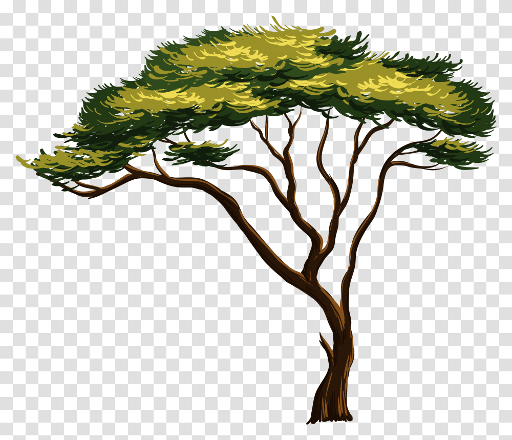Tree African Tree Clipart, Plant, Vegetation, Bush, Nature Transparent Png