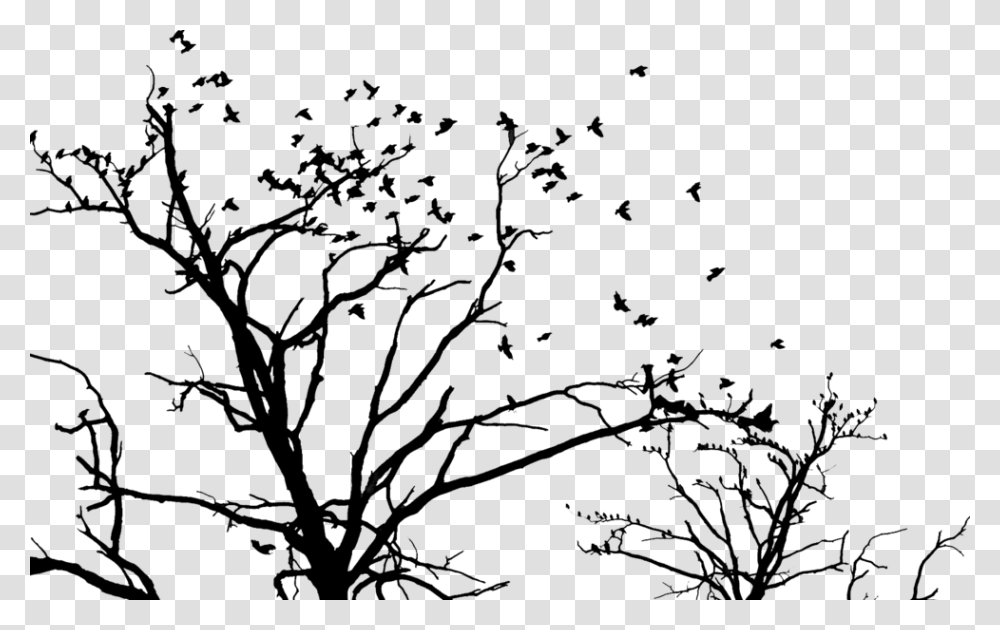 Tree And Birds, Nature, Outdoors, Night, Moon Transparent Png