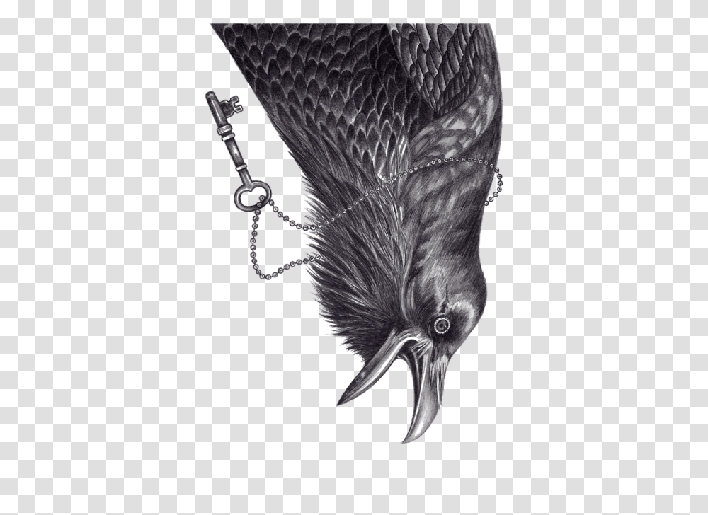 Tree And Ravens Drawing, Bird, Animal, Mammal Transparent Png