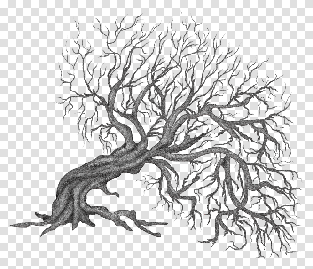 Tree And Roots Clipart Vector Freeuse Winter Trees Black And White Paintings Tripy Tree, Plant, Rug, Flower, Blossom Transparent Png