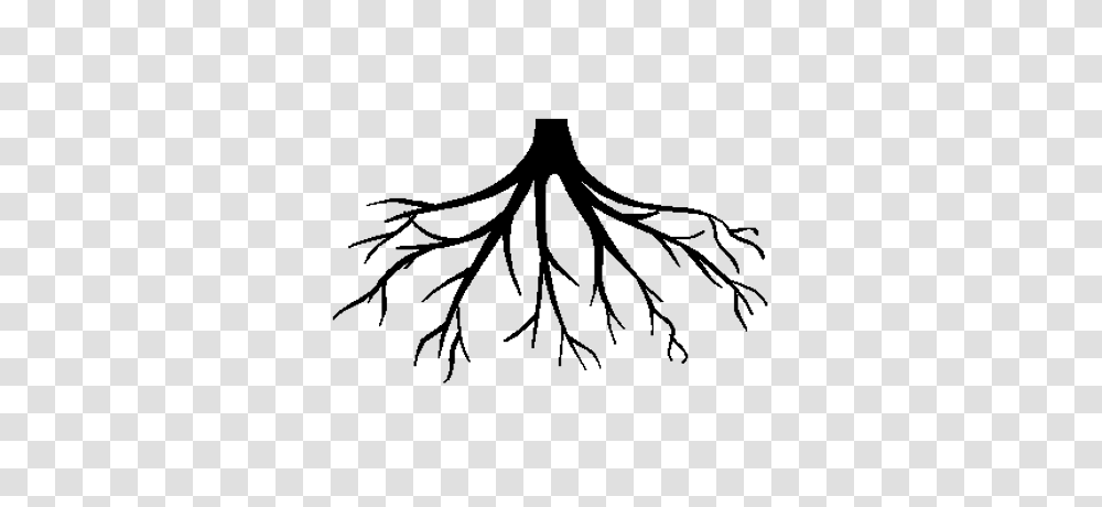 Tree And Roots Colour Illustration, Plant, Green, Spider, Invertebrate Transparent Png