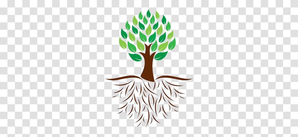 Tree And Roots Colour Illustration, Plant, Produce, Food, Vegetable Transparent Png