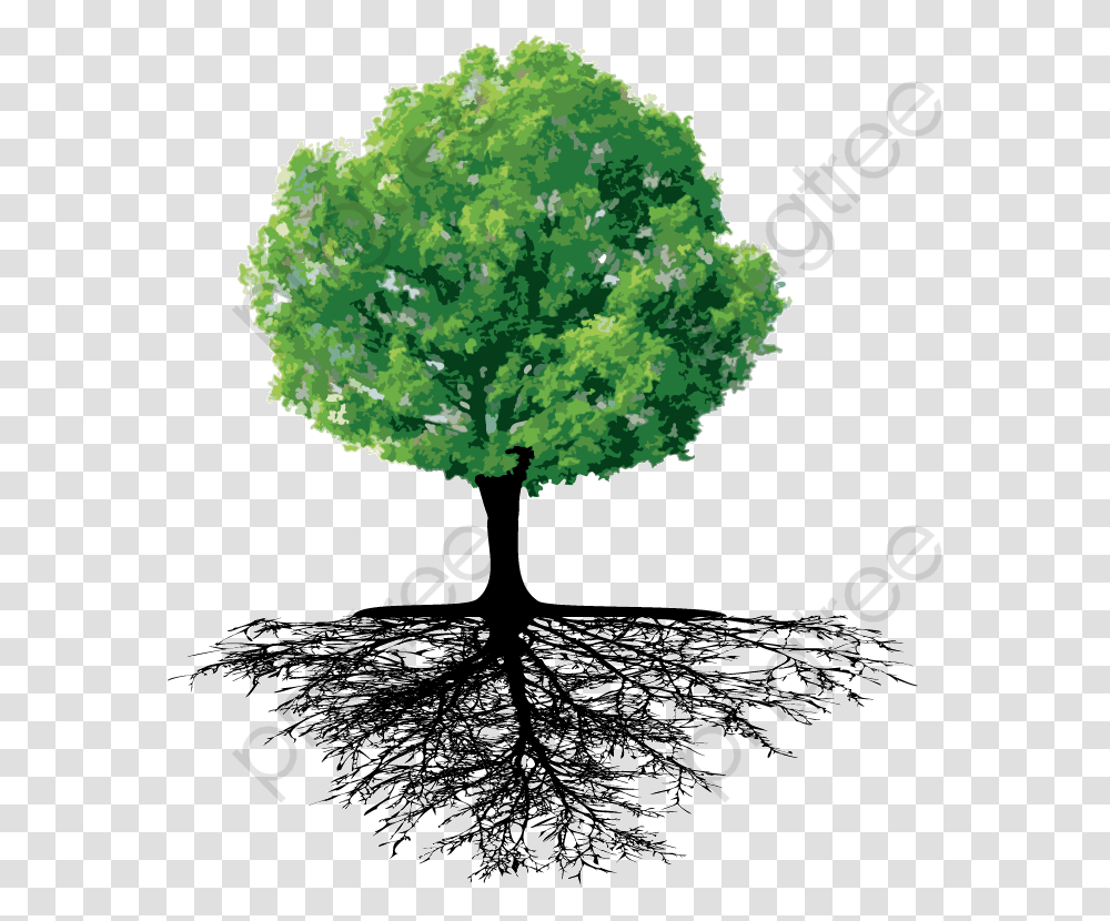 Tree And Roots, Plant Transparent Png