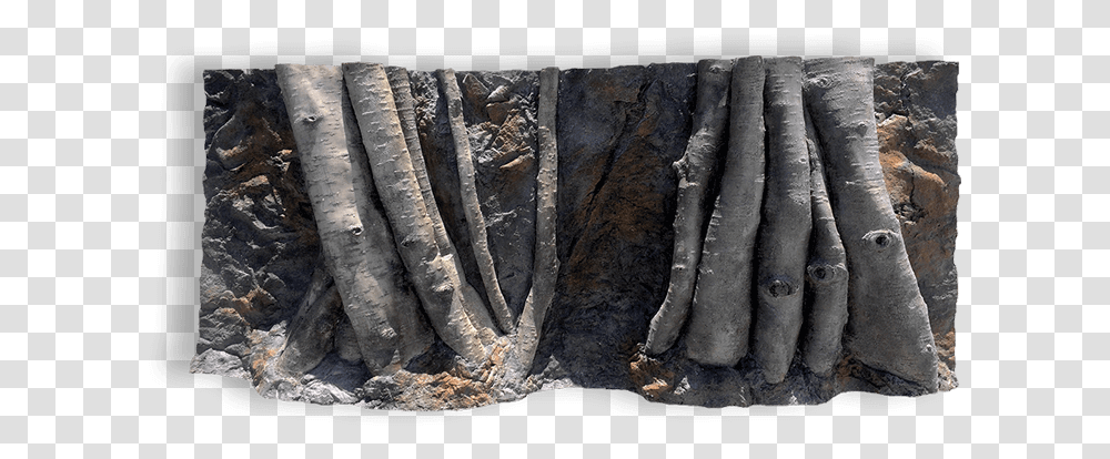 Tree And Roots Rock, Soil, Nature, Fossil, Outdoors Transparent Png