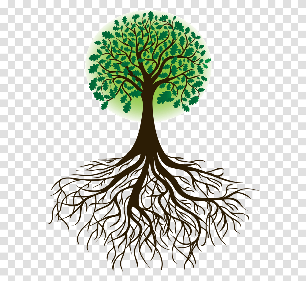 Tree And Roots Tree With Root, Plant, Lamp Transparent Png