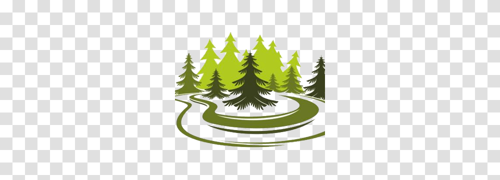 Tree And You Climate, Plant, Ornament, Fir, Grass Transparent Png