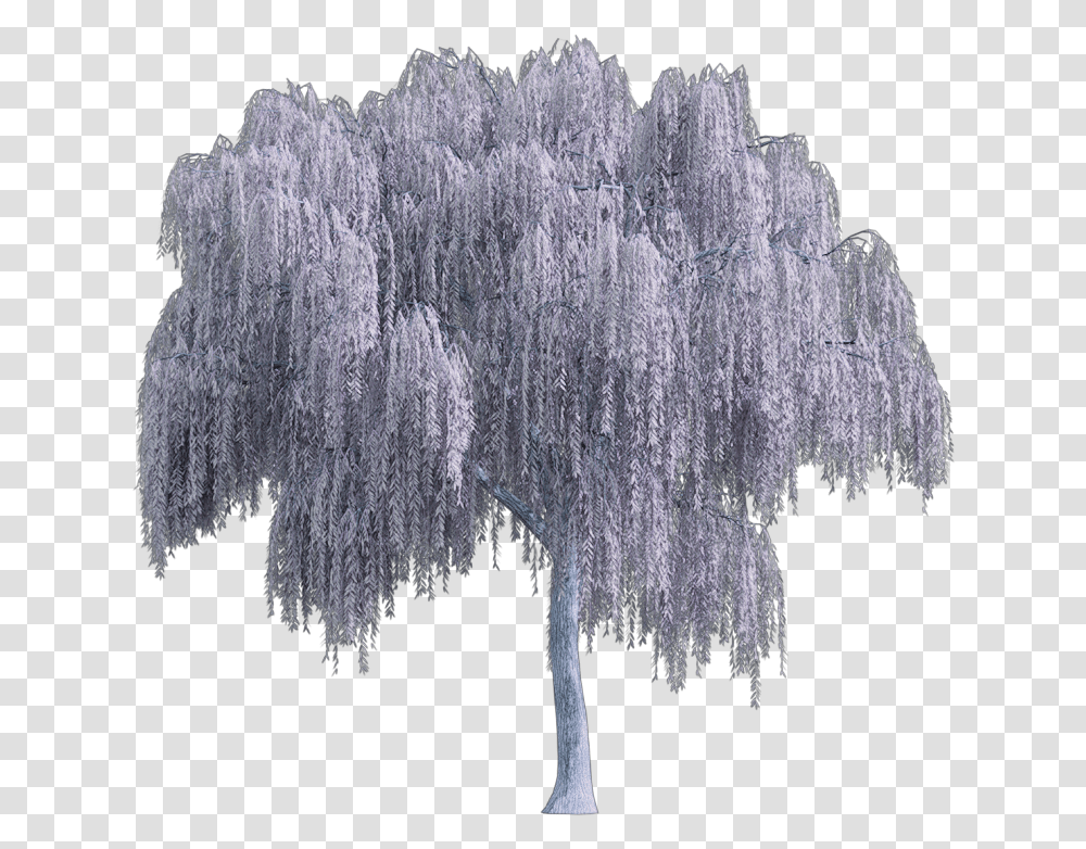 Tree Arbol Snowy Nevado White Blanco Sauce Willow Weeping Willow Tree, Plant Transparent Png