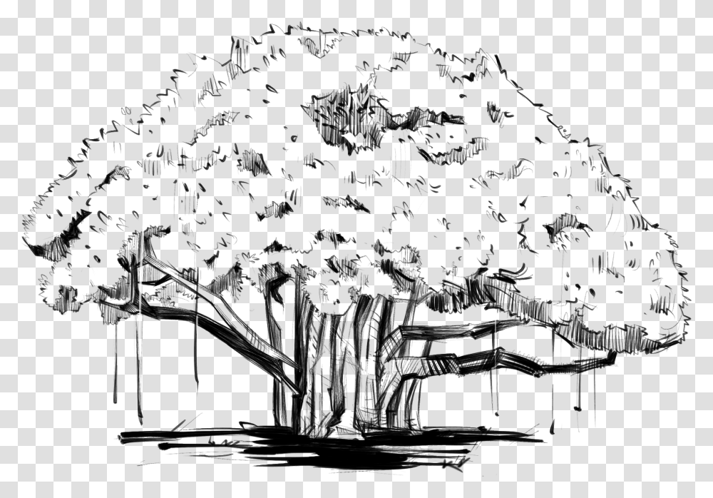 Tree, Drawing, Doodle Transparent Png