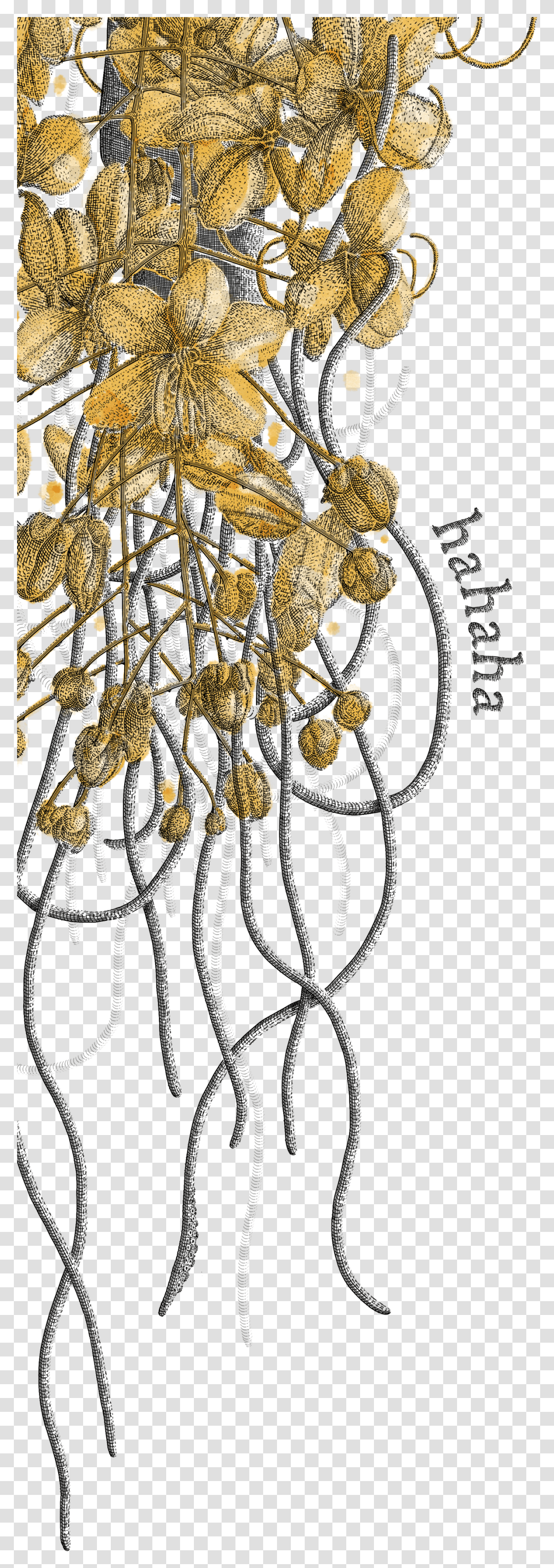 Tree, Pattern, Applique, Mammal Transparent Png