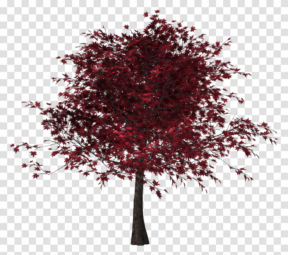 Tree Autumn Leaves Red Free Image On Pixabay Red Leaves Tree, Plant Transparent Png