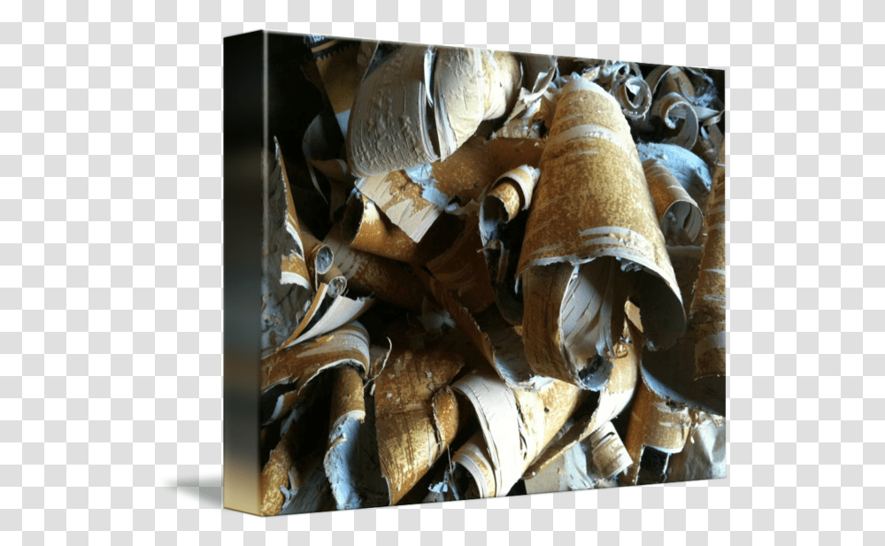 Tree Bark Chips By Anita Couto Weapon, Plant, Horse, Mammal, Animal Transparent Png