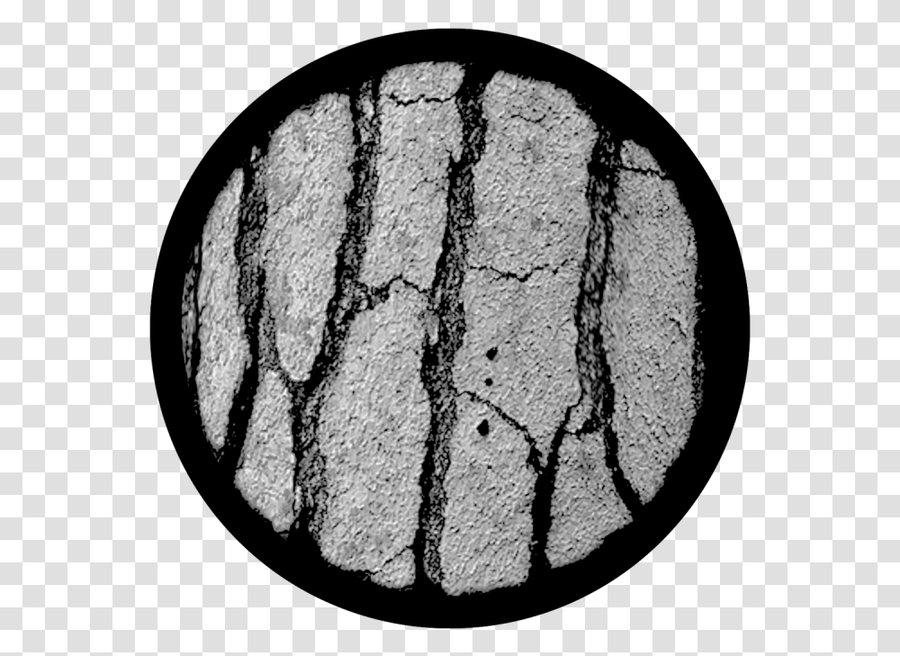 Tree Bark Cobblestone Circle, Rock, Fossil, Limestone, Soil Transparent Png