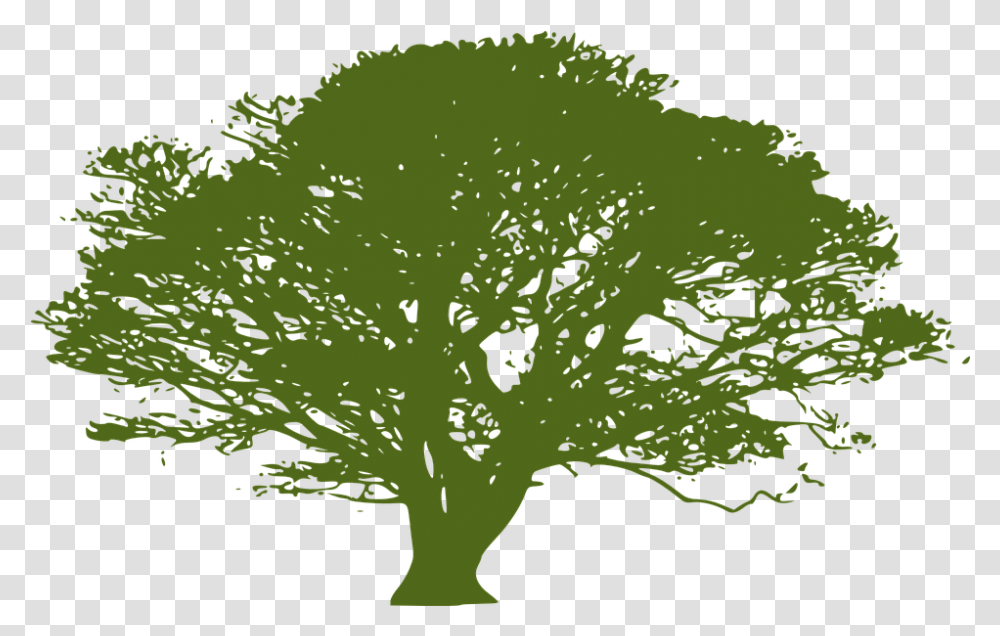 Tree Bark Files Clipart Lacey Act, Plant, Bush, Vegetation, Green Transparent Png
