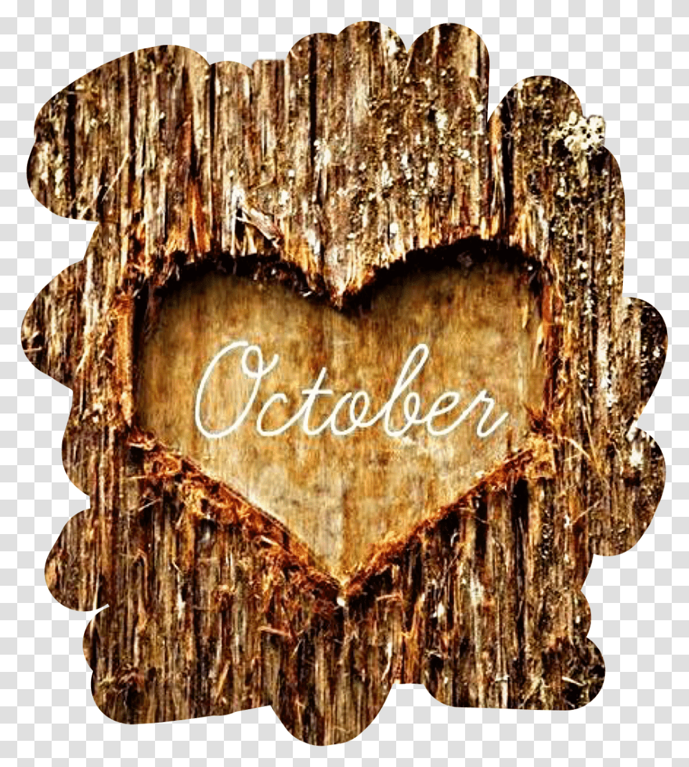 Tree Bark Heart October Autumn Fall Freetoedit October My Favorite Month, Chandelier, Lamp Transparent Png