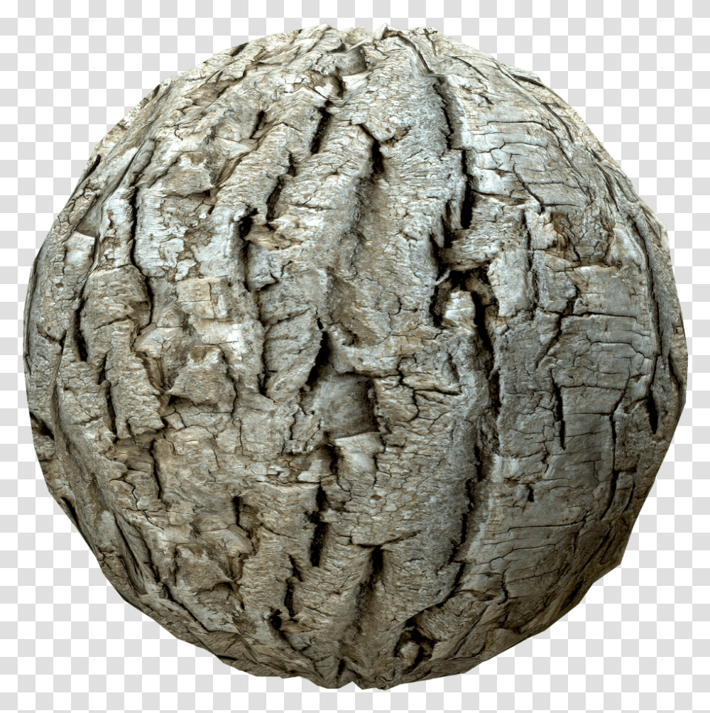 Tree Bark Texture Artifact, Sphere, Fungus, Outer Space, Astronomy Transparent Png