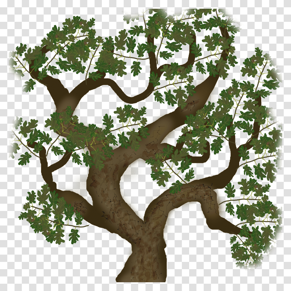 Tree Bark Texture, Plant, Vegetation, Green, Leaf Transparent Png