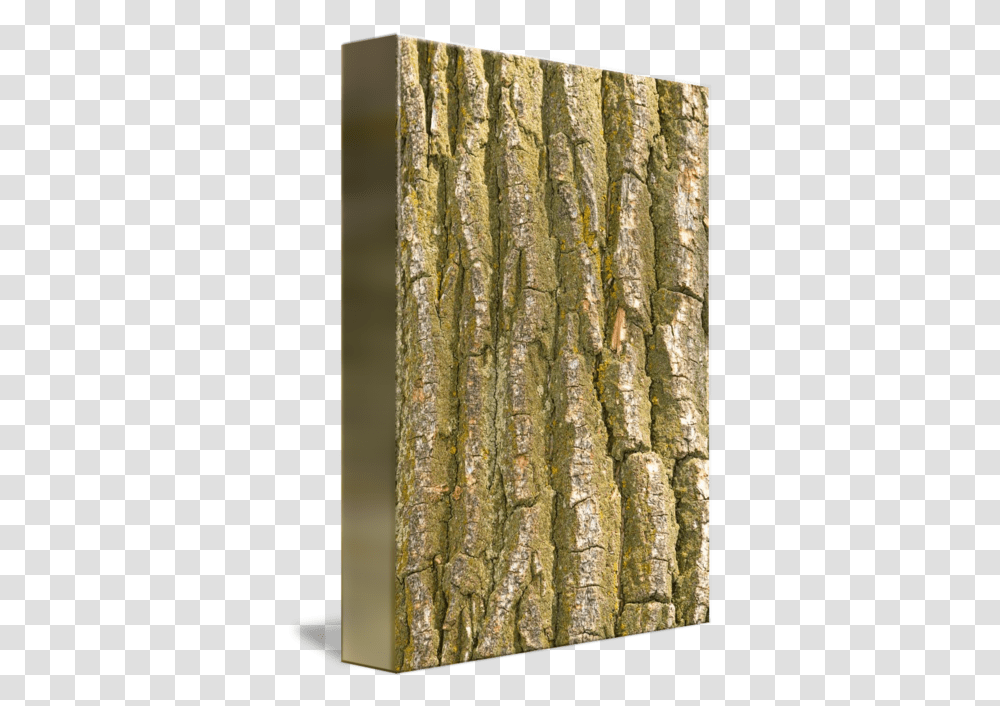 Tree Bark Texture Vertical Bark, Plant, Tree Trunk, Rug, Wood Transparent Png
