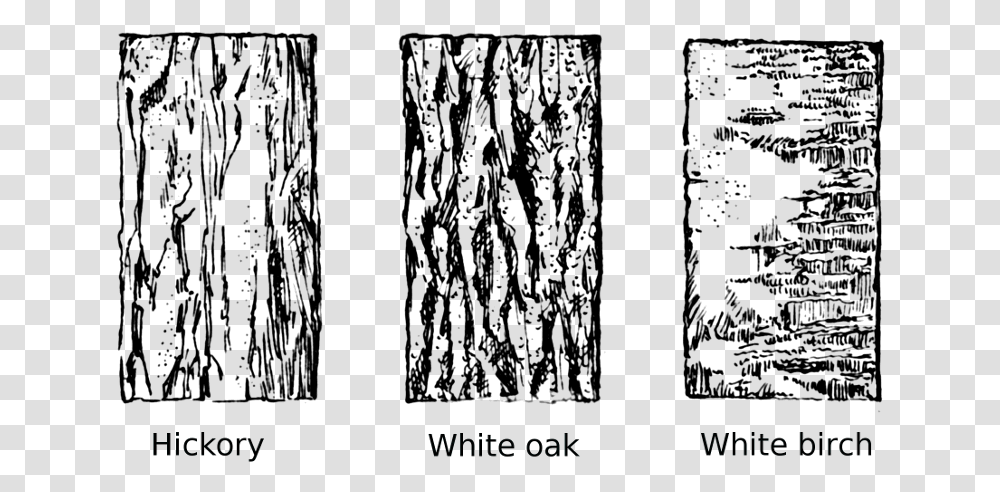 Tree Bark Tree Clipart Vector Library Tree Bark Clip Art, Gray, World Of Warcraft, Outdoors Transparent Png