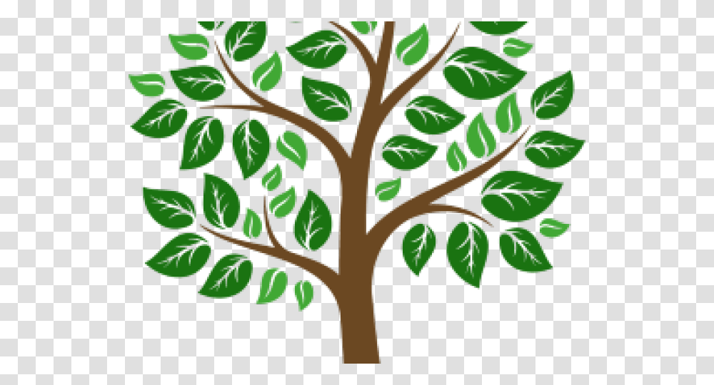Tree Board, Green, Leaf, Plant, Veins Transparent Png